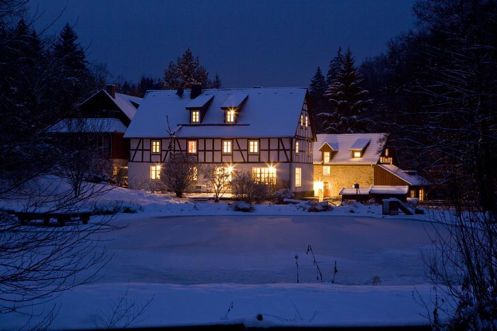 Romantik Hotel Landhaus Baerenmuehle Frankenau Экстерьер фото