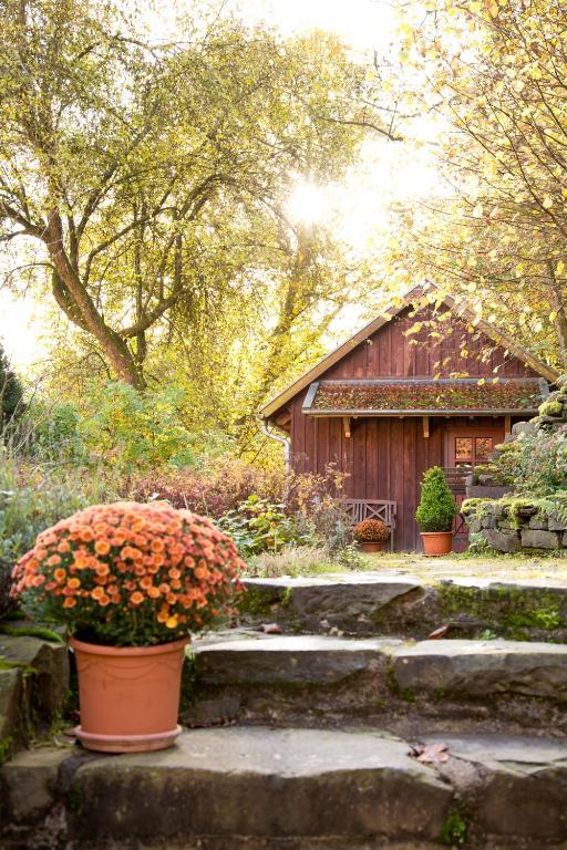 Romantik Hotel Landhaus Baerenmuehle Frankenau Экстерьер фото