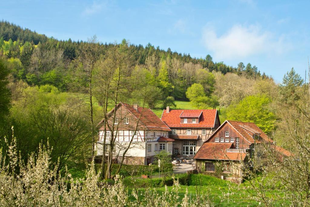 Romantik Hotel Landhaus Baerenmuehle Frankenau Экстерьер фото